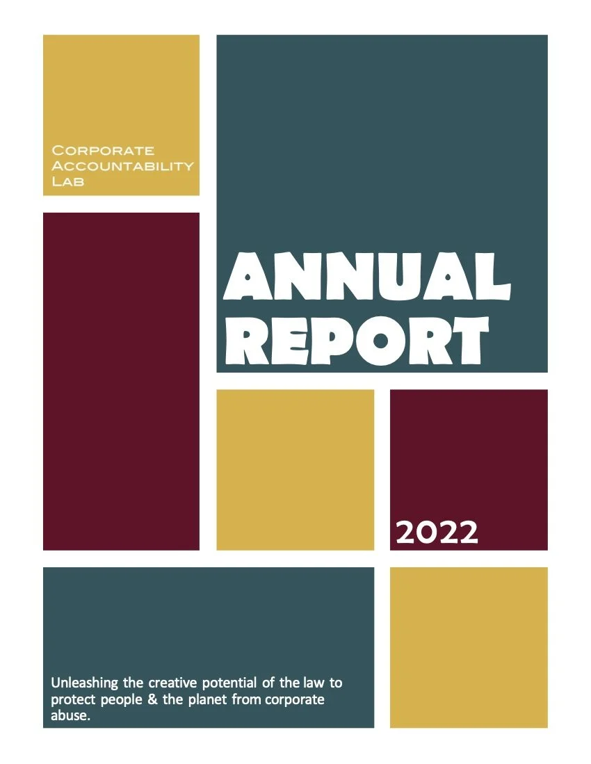 Annual Reports — Corporate Accountability Lab